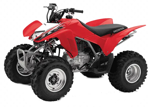 Honda TRX250R Skid Plates